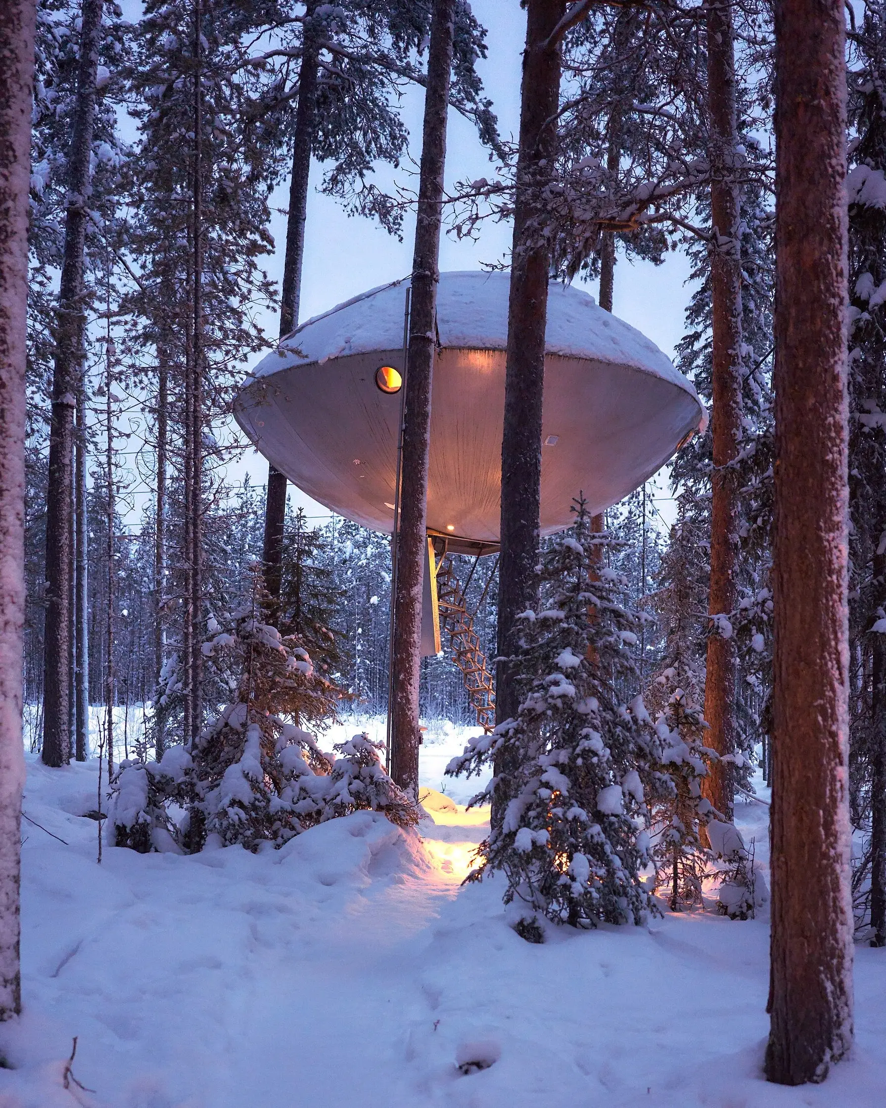 De UFO-kamer van het Treehotel in Harads tussen besneeuwde dennen